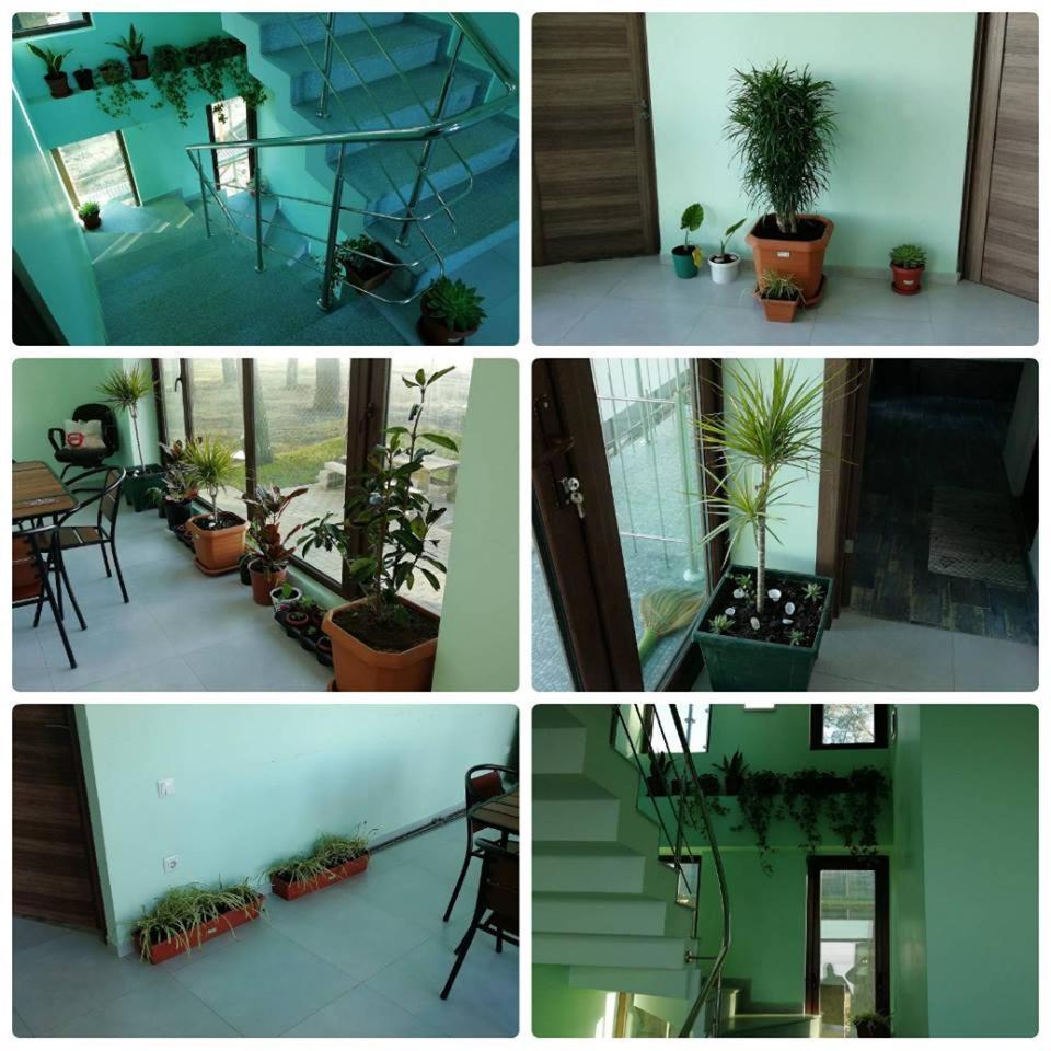 Shekvetili Green House Shekhvetili Exterior foto